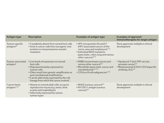 Presentation of tumor neoantigens