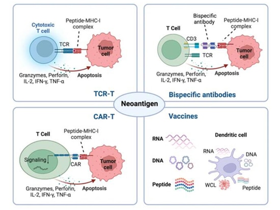 Presentation of tumor neoantigens