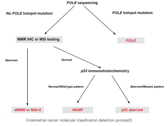 Endometrial cancer molecular classification detection process[1]