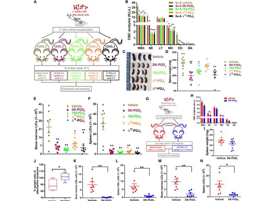 Figure 3. GPR44 activation decreases the severity of leukemia