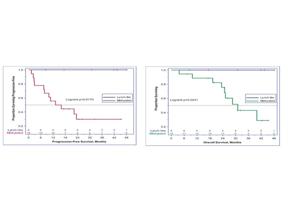 Survival analysis between subgroups