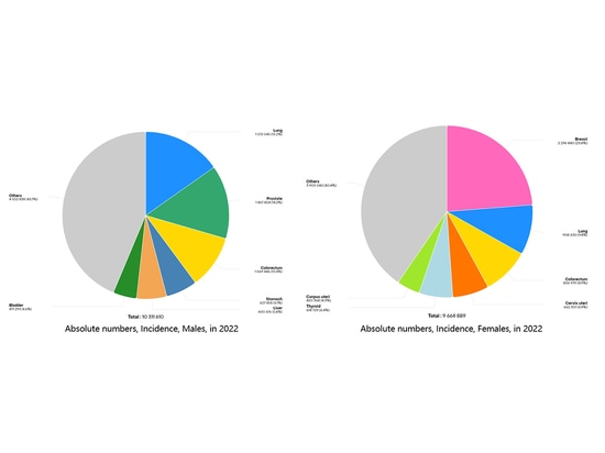 Figure 1 Top ten cancers with new cancer cases worldwide in 2022