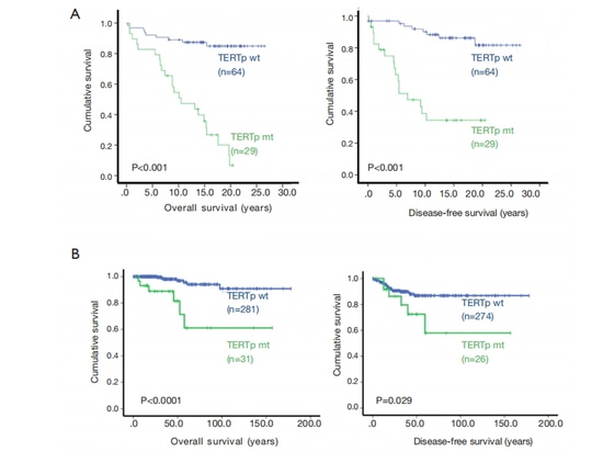 Figure 4 TERT gene promoter mutation and prognosis