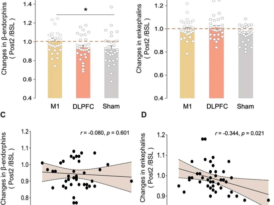 New research published using YINGCHI TMS