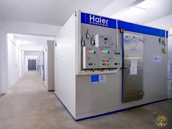 Empowering Global Health: Haier Biomedical Revolutionizes Vaccine Storage and Transportation
