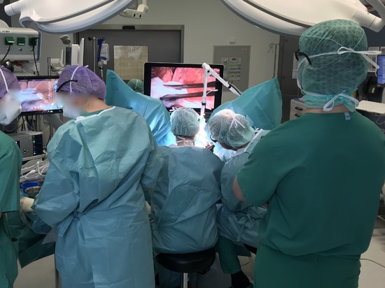 The digital colposcope is mounted on a robust operating theatre castor stand with hard-wearing Tente castors with cable deflectors. The EIZO main monitor (surgical image quality) is positioned on a...