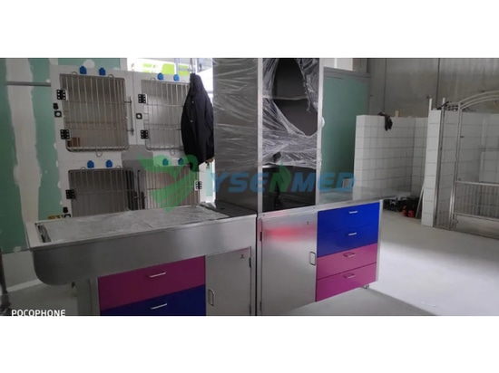 YSENMED Veterinary Equipment Set Up in a New Vet Clinic in Spain