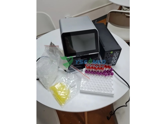 YSENMED veterinary equipment set up a in new vet clinic in Philippines