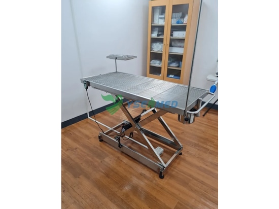 YSENMED veterinary equipment set up a in new vet clinic in Philippines