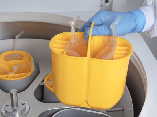 Blue Force 12L R: The Powerful, Precise and Eco-Designed Centrifuge for Today’s Laboratories