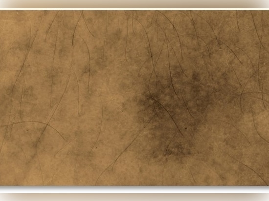 Pigmentation rendering