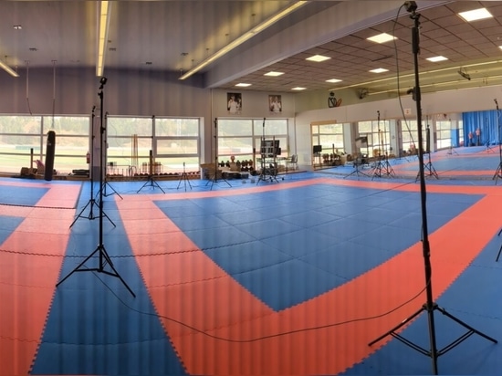 Advanced Biomechanics Supporting Elite Karate Performance