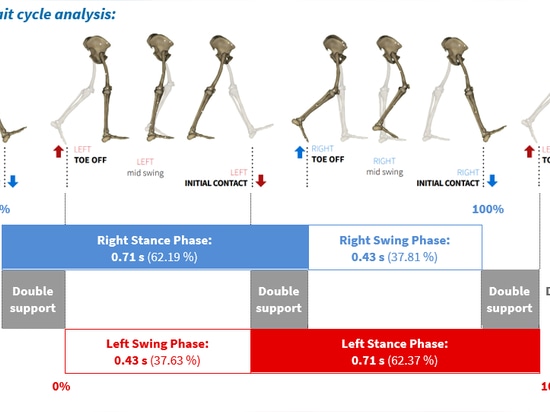 3DMA System: a valuable tool in clinical biomechanics