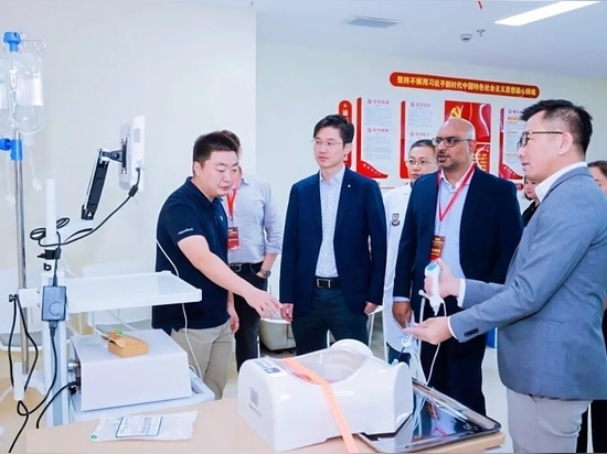 Ex vivo simulation