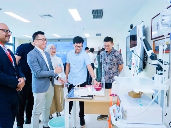 Ex vivo simulation