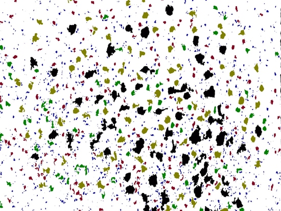 Sebum analysis