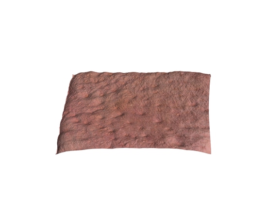 Pores