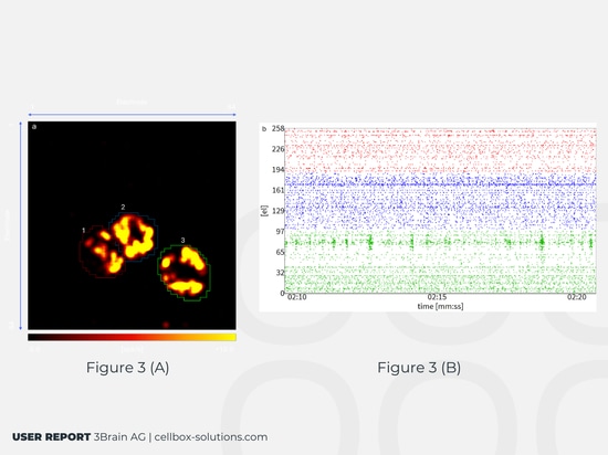The Spheroids raster plot: