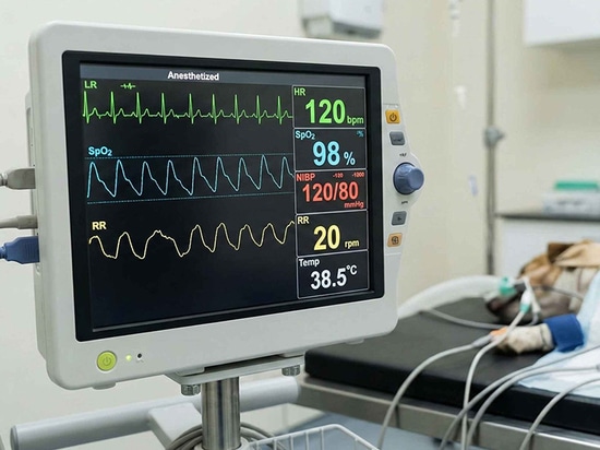 What Factors Should You Consider When Buying A Portable Veterinary Monitor?