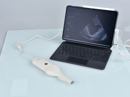 NPUS-01: The Portable Ultrasound Device Designed for Neurosurgery