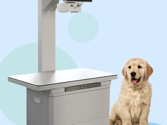 Veterinary X-ray machine, a great helper for accurate diagnosis of pets!