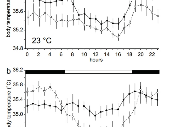 figure 1 from the article