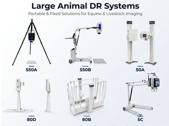 Cattle X Ray vs Ultrasound: Which Imaging Tool Is Better for Bovine Diagnosis?