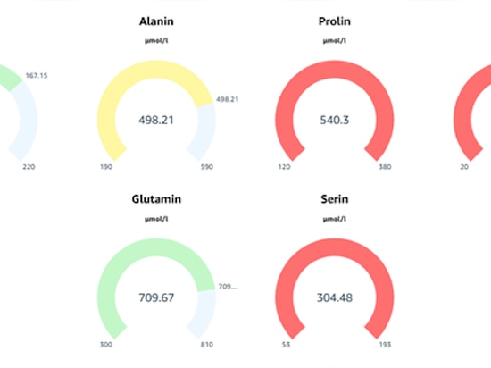 Amino Acid Analysis as a Basis for Personalized Preventive Healthcare