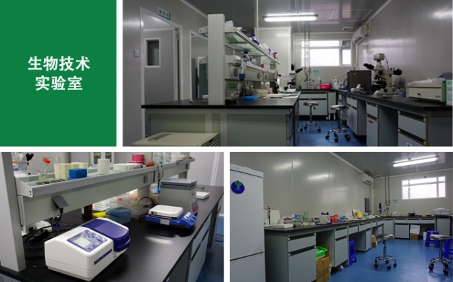 Shenzhen Microprofit Bio-tech Co., Ltd. Photo 9