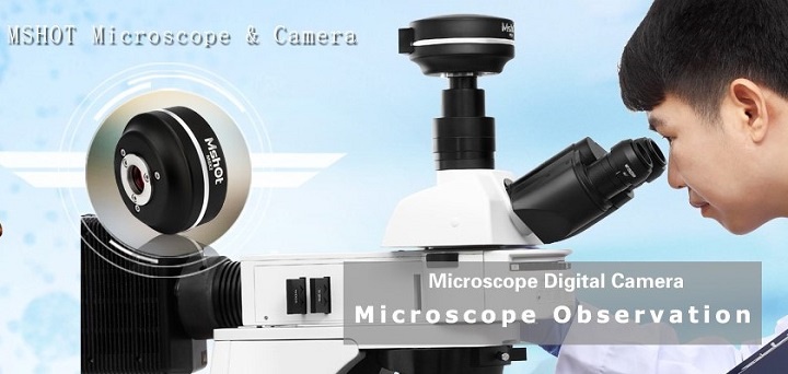 Micro-shot Technology Limited Photo 3