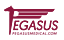 Pegasus Medical Concepts