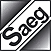 SAEG S.r.l.