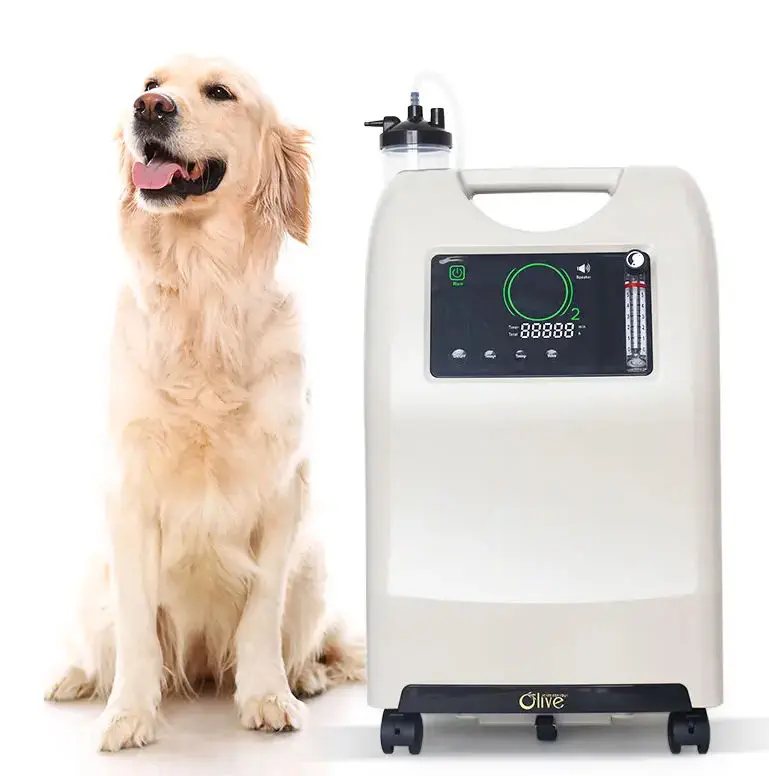 BOSWELL 酸素濃縮器 未使用 家庭用酸素濃縮器 - 00155 - Zhengzhou Olive Electronic Technology