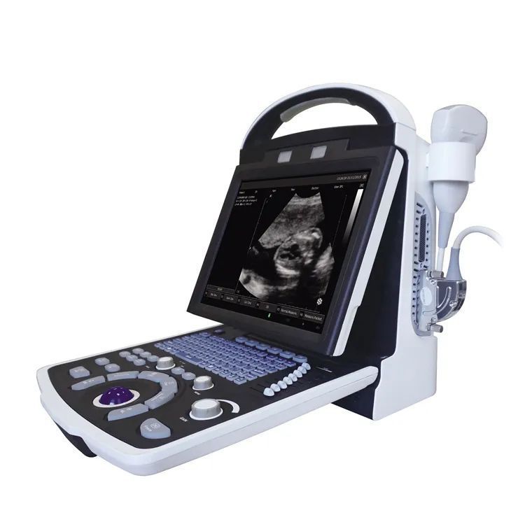 携帯型動物用超音波検査 - 5533 - Hunan Fude Technology