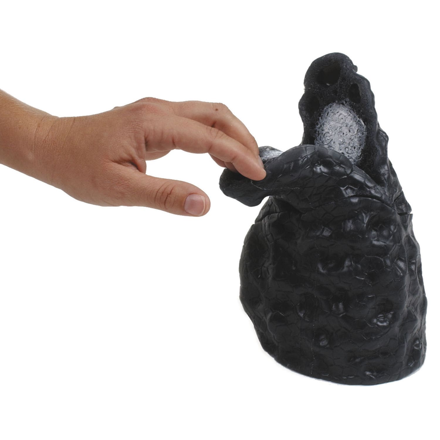 HEALTH EDCO 喫煙の影響 人体模型セット Smoking Health Consequences 3-D Display | Health Edco
