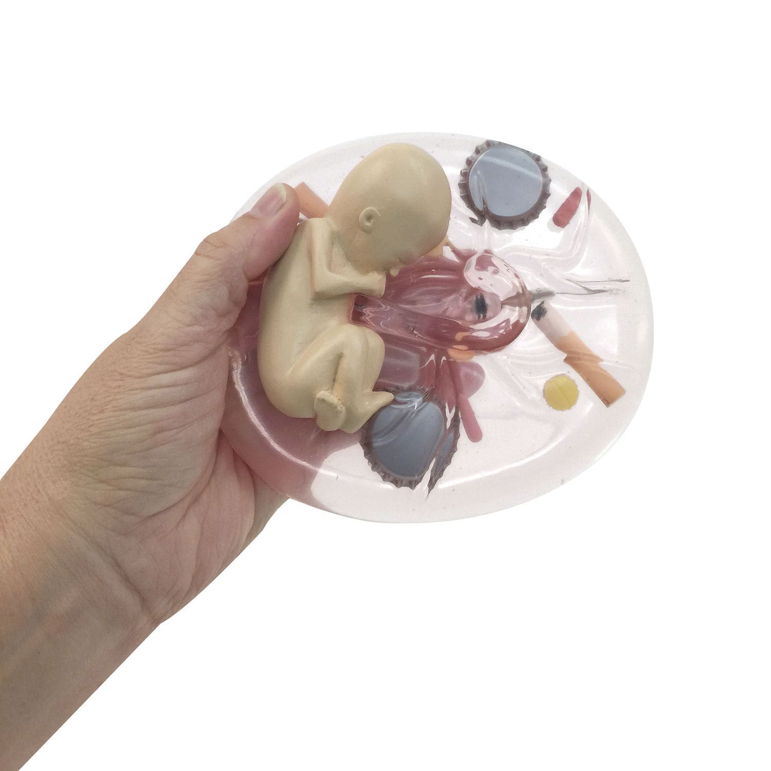胎児解剖模型 - 79809 - Health Edco & Childbirth Graphics