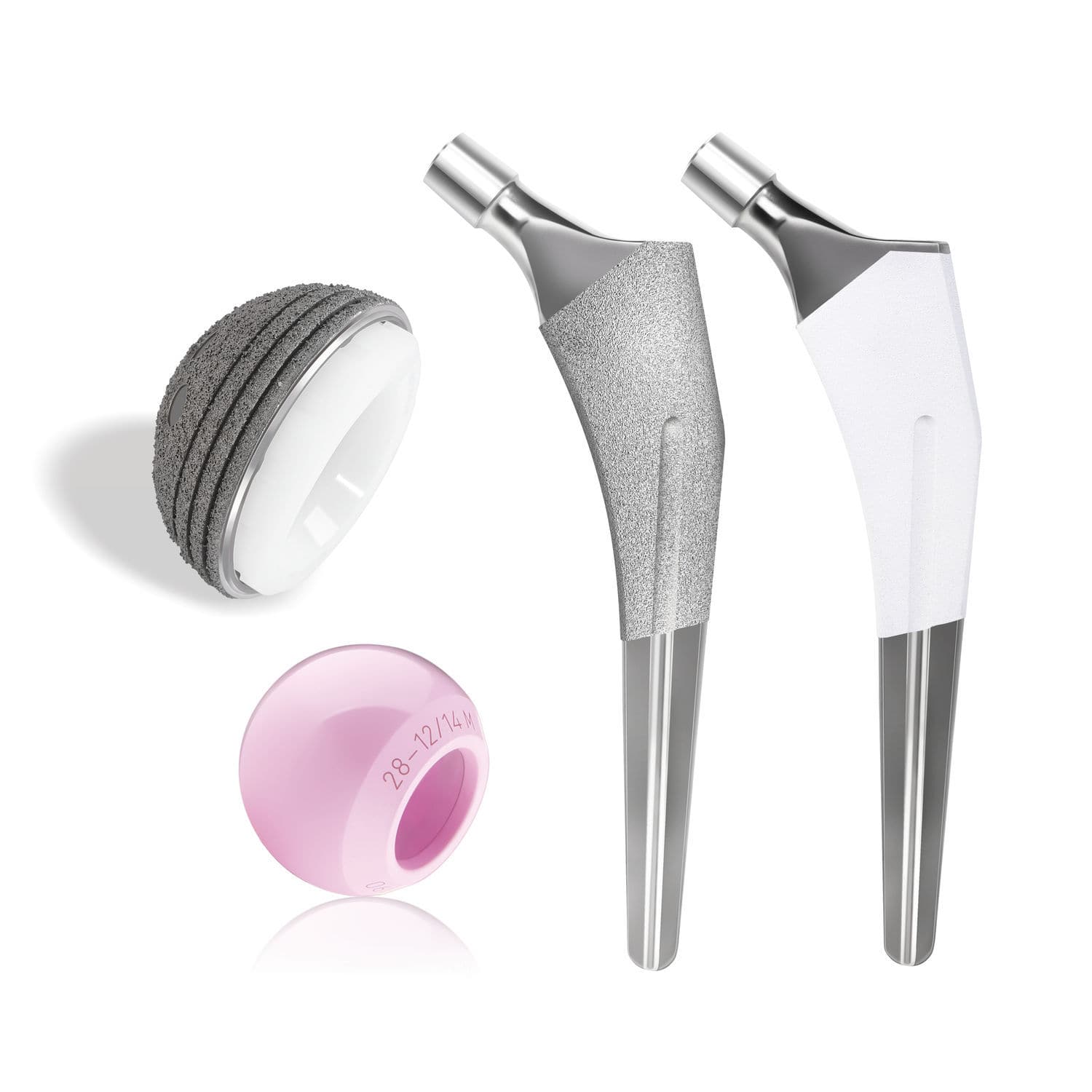 セメントレス大腿骨ステム - TPS - SurgTech セメントレス大腿骨ステム - TPS - SurgTech