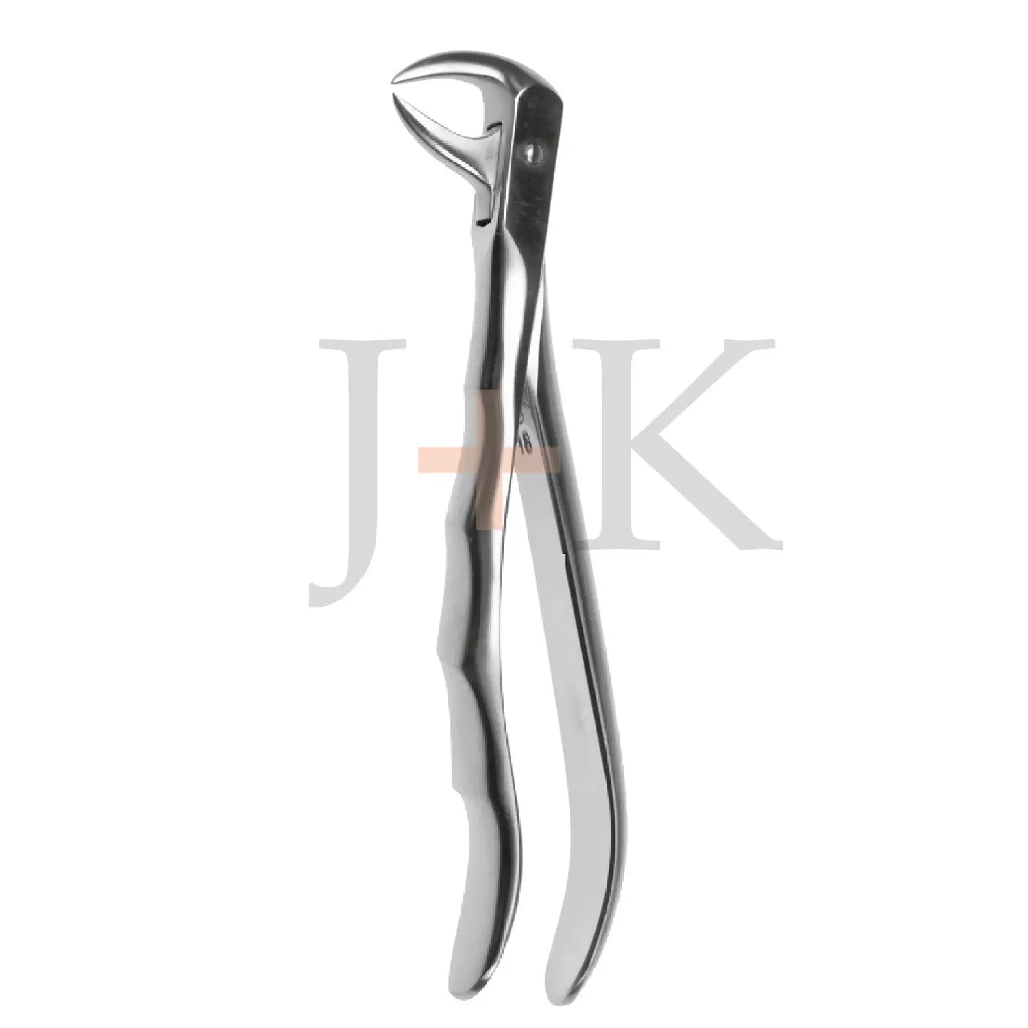 下大臼歯用抜歯用鉗子 - 12-47-007 - J+K Chirurgische Instrumente