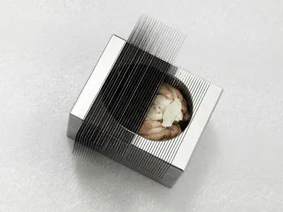 ネズミ用ブレインスライサー - ST-CM21 - Shanghai TOW