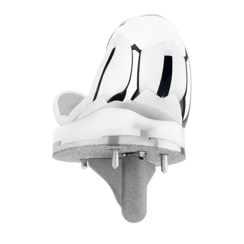 全人工膝関節置換術用人工膝関節 - Evolution®BIOFOAM® - MicroPort