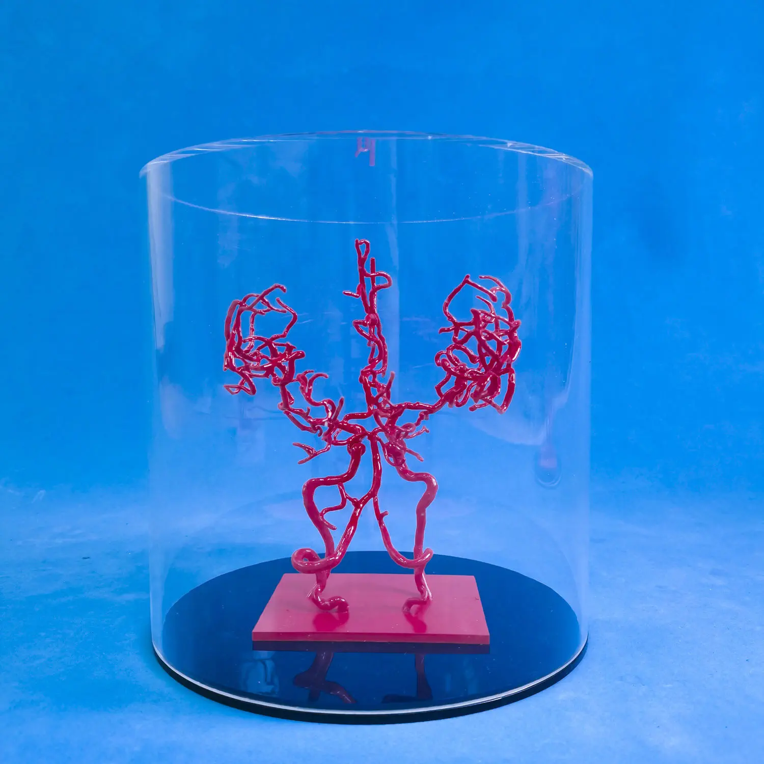 脳血管模型 - YZ002 - Trando 3D Medical Technology - 医療訓練