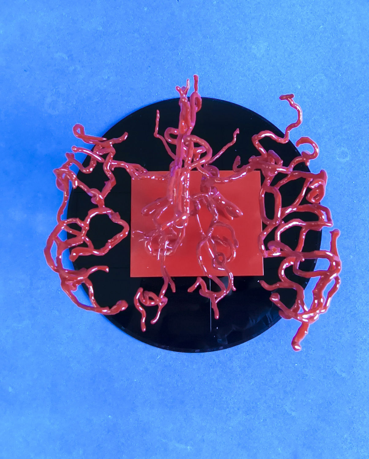 脳血管模型 - YZ002 - Trando 3D Medical Technology - 医療訓練用