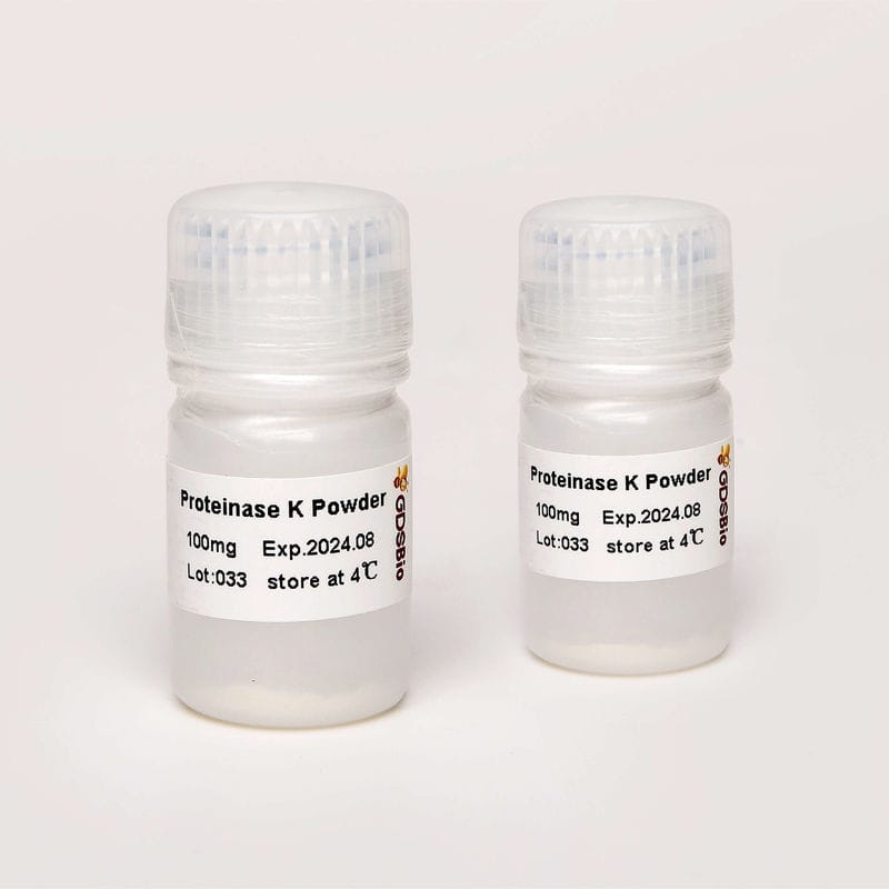 プロテイナーゼK試薬 N9016 Guangzhou Dongsheng Biotech Co., Ltd. プロテアーゼ