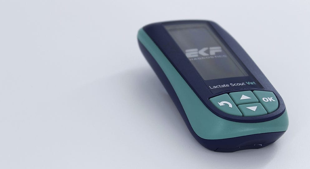 携帯型乳酸計 - Lactate Scout Vet - EKF Diagnostics