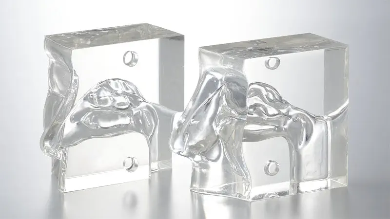 超レア　鼻腔系模型 69033-19333386.webp