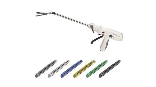 ソテツ　超幹太低重心❗バルブ22センチ❗　③ Amazon.co.jp: シチズン スティレット エコドライブ メンズウォッチ