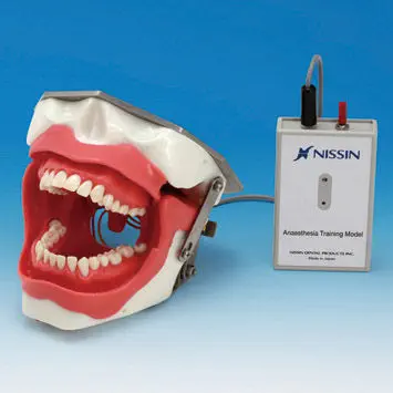 歯科麻酔患者シミュレーター - SUG2005-UL-SP - Nissin Dental