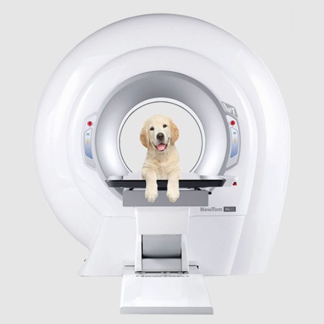 動物用コーンビームCTスキャナー - 5G XL VET - NewTom - ペット用