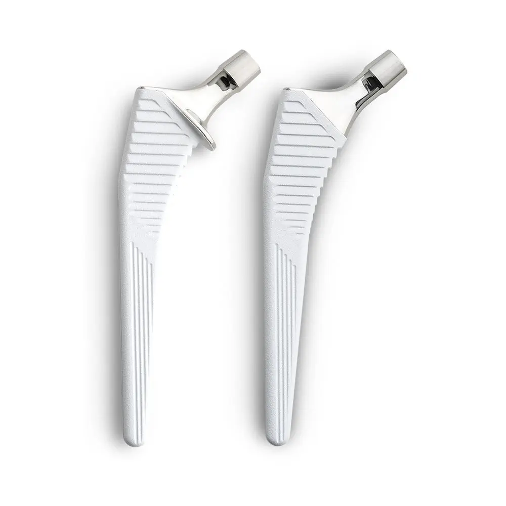 貴重！ポットー 頭骨 Amazon.co.jp: ヴェロキラプトルの頭蓋骨モデル - 樹脂化石、ラプトル