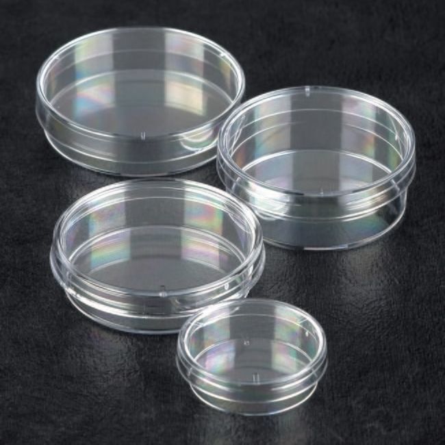 ペトリ皿 ペトリ皿 - Sterilin™ - Thermo Scientific